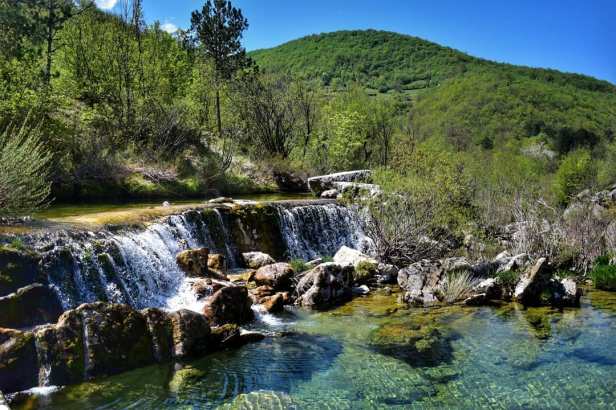 Janko Gašić fotke (1)