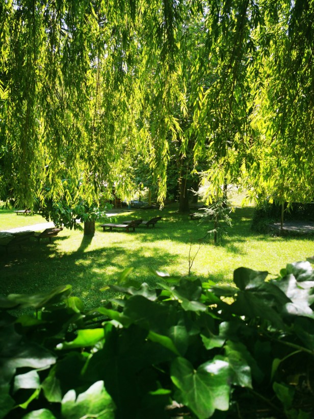 Jazina club 2020 (1)