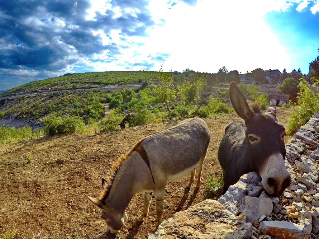 Hotel & Restoran Jezero Bileća 1
