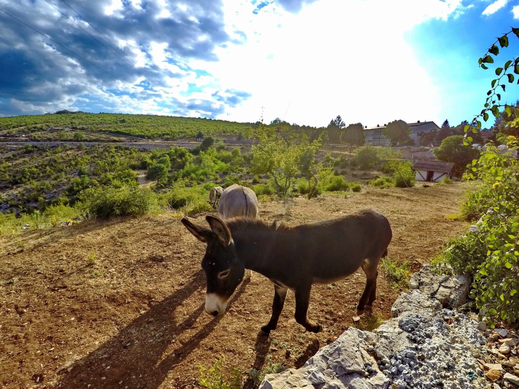 Hotel & Restoran Jezero Bileća 2